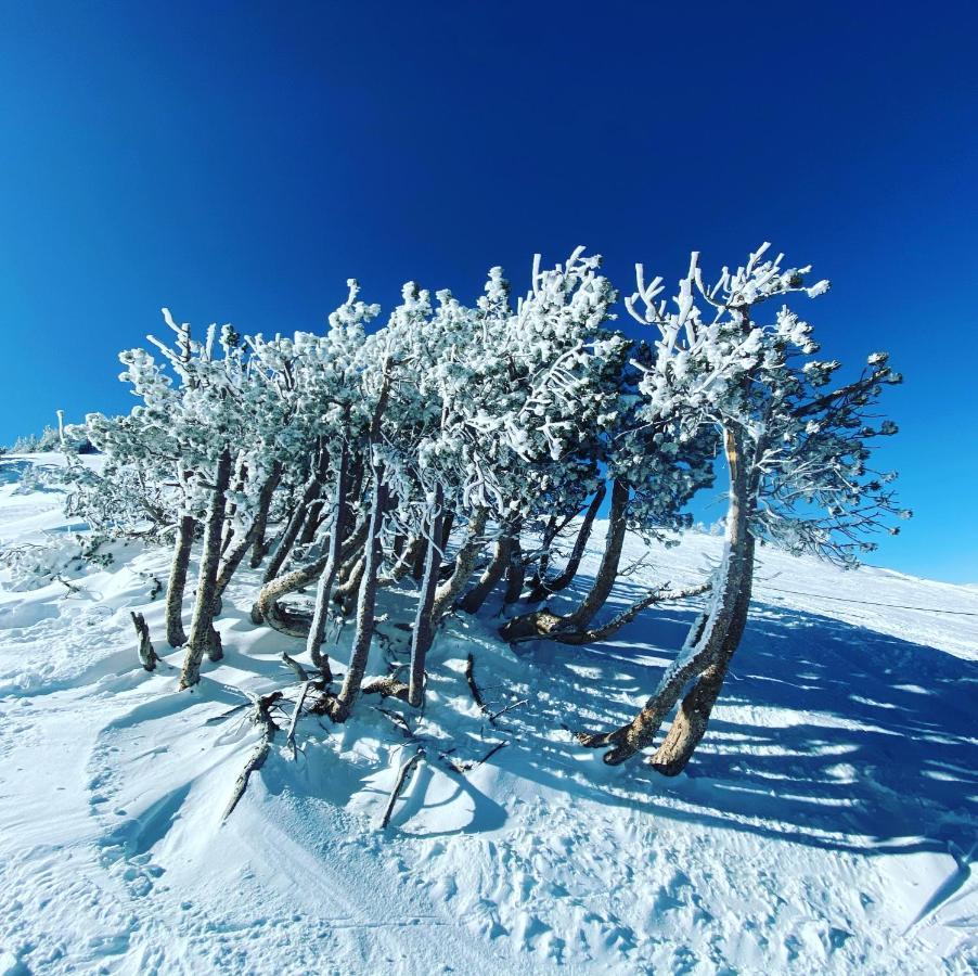 Апартаменты Mammoth Awesome Location-1 Min To Shuttles & Food! Toml-Cpan-11402 Маммот Лейкс Экстерьер фото